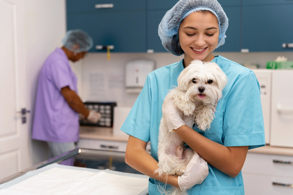 Quanto um veterinário ganha nos Estados Unidos